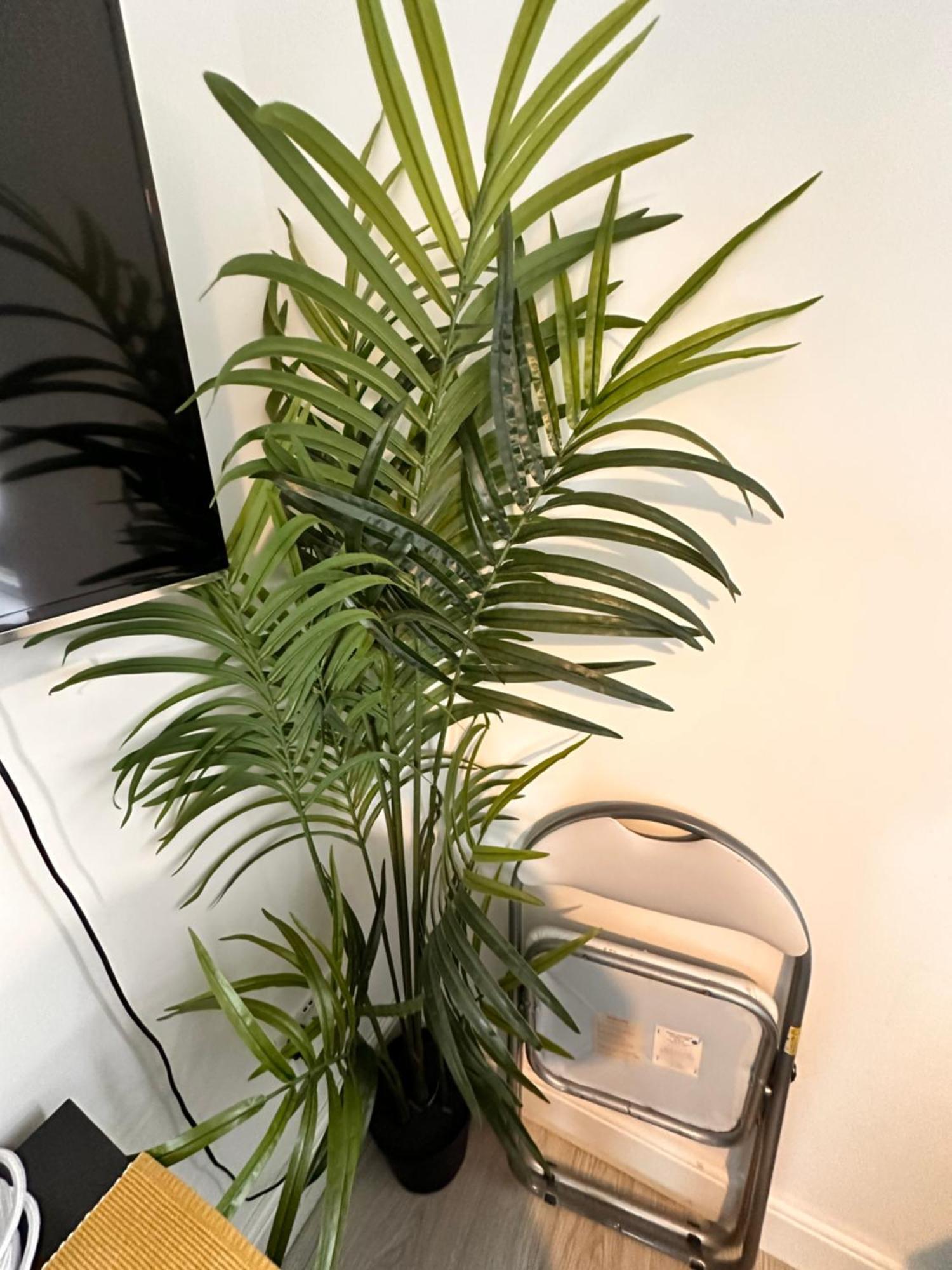 Lovely Self Contained Studio Now Available Лондон Екстер'єр фото